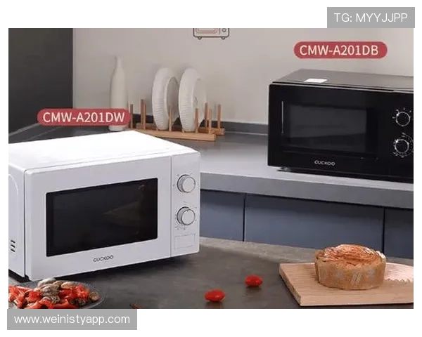 皇家手机网址的安全性分析与用户体验优化研究报告