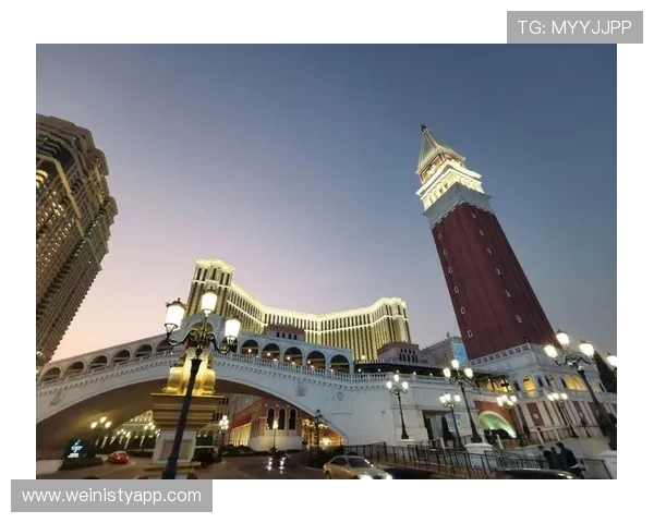 澳门威尼斯人视频网站最新上线，丰富多彩的娱乐内容一站尽享