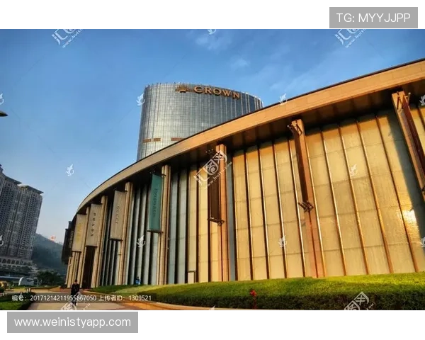 澳门新濠天地手机网址登录指南，详细步骤帮助玩家快速进入游戏体验精彩内容